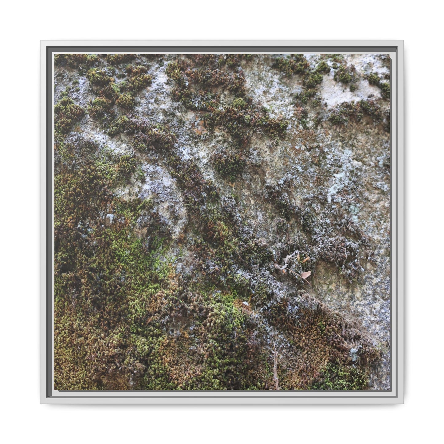 Mossy Whispers - Unique Stretched Canvas Wall Art