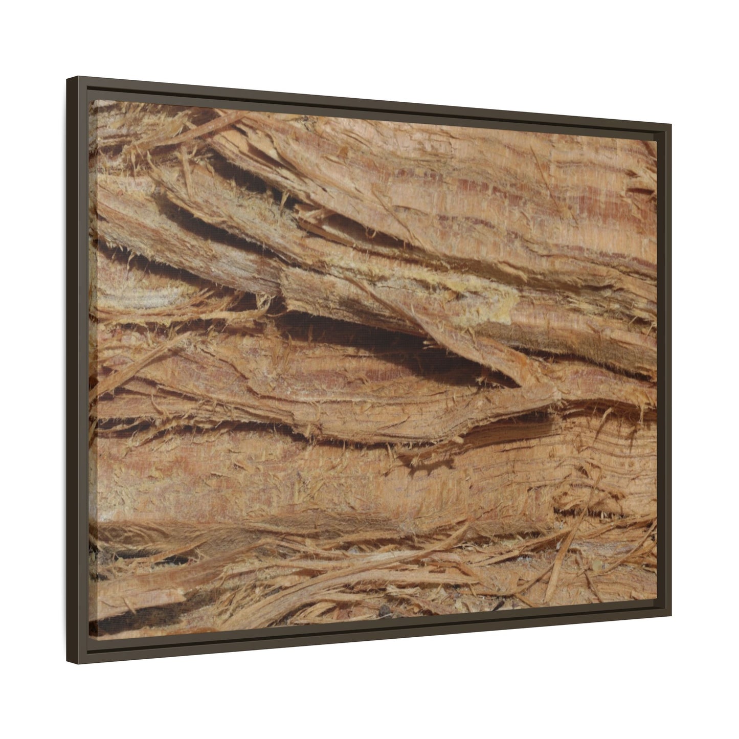 Splintered Bark - Unique Stretched Canvas Wall Art