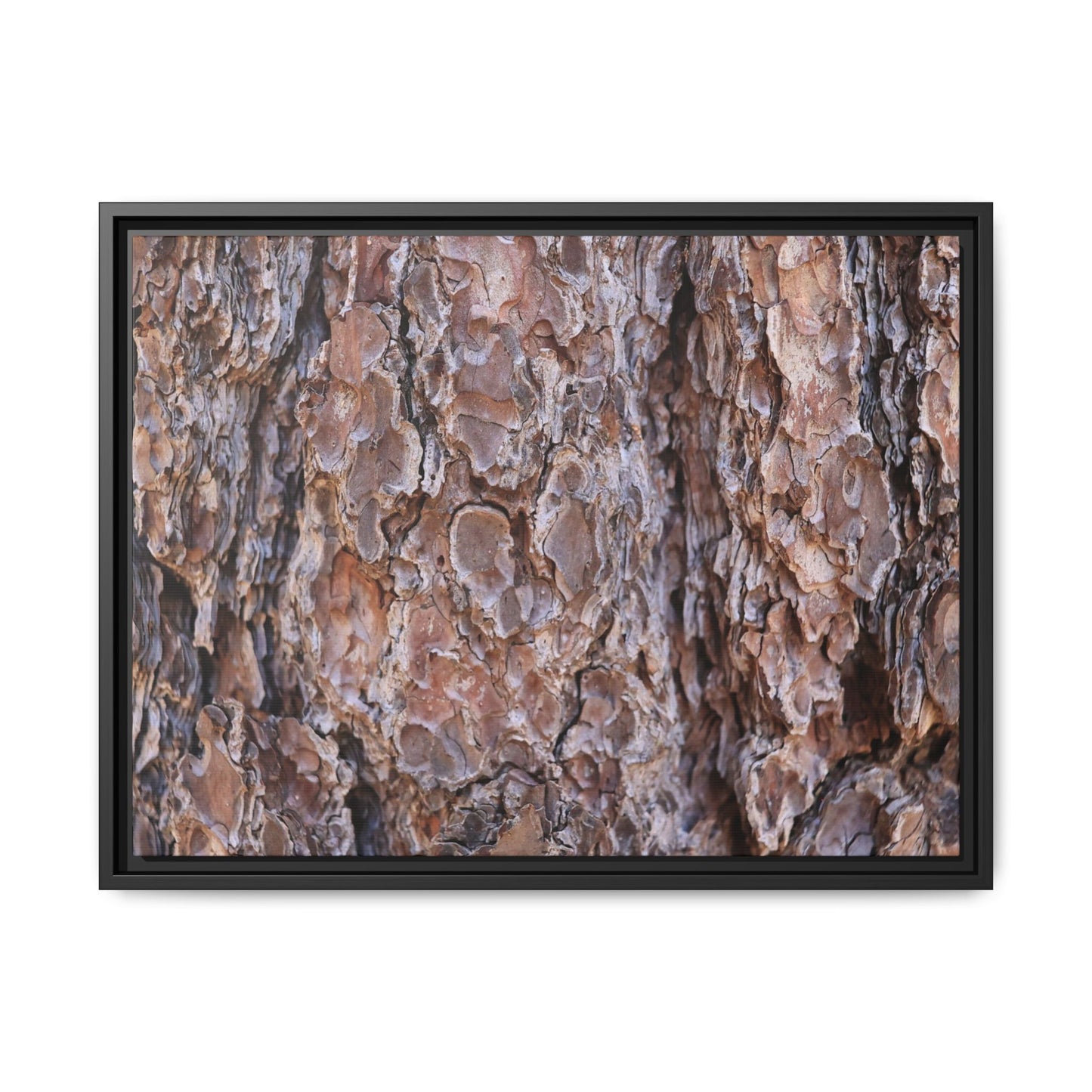 Woody Layers - Unique Stretched Canvas Wall Art