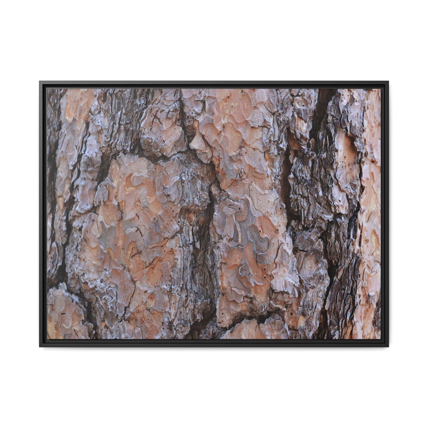 Tree Skin Symphony - Unique Stretched Canvas Wall Art