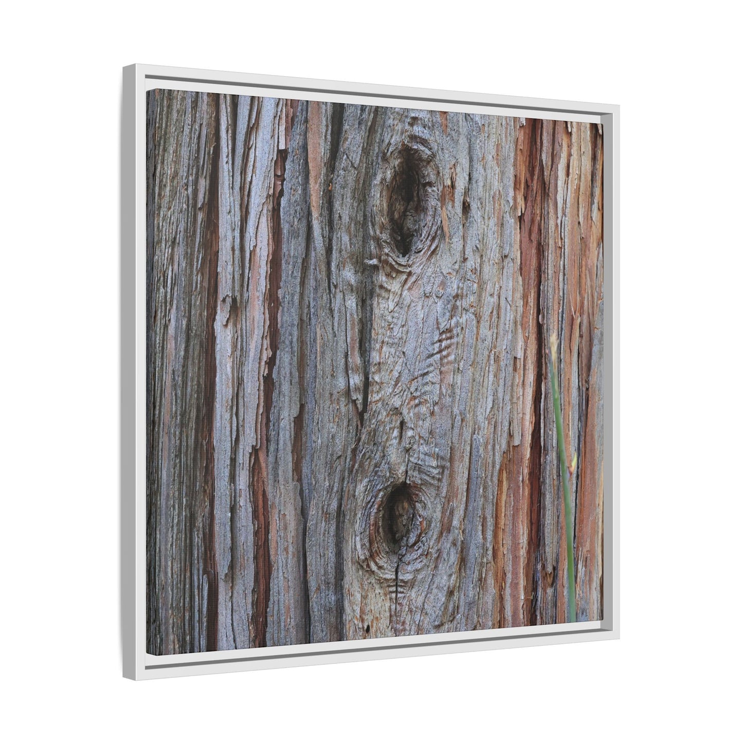 Knotty Nature - Unique Stretched Canvas Wall Art
