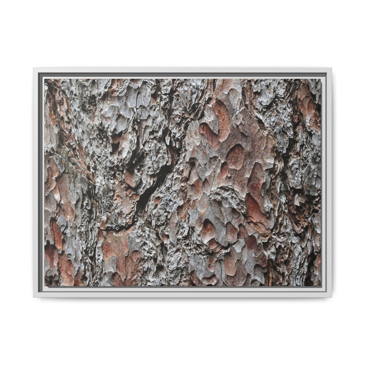 Bark Texture Symphony - Unique Stretched Canvas Wall Art