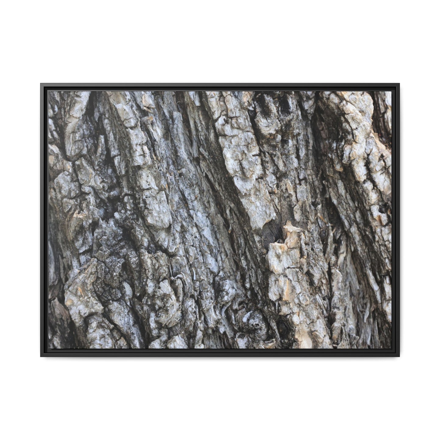 Twisted Textures - Unique Stretched Canvas Wall Art