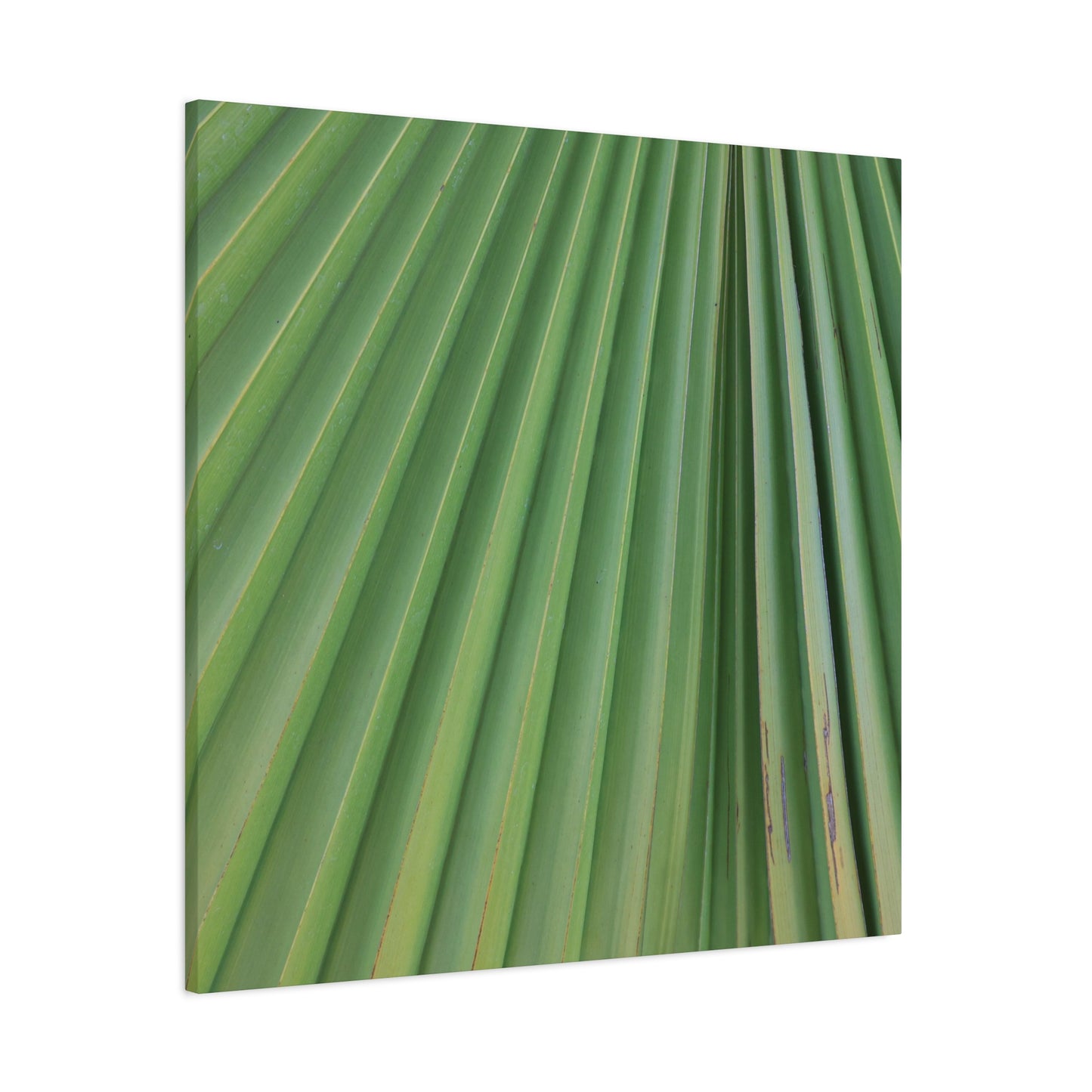 Palm Pulse - Unique Frameless Canvas Wall Art
