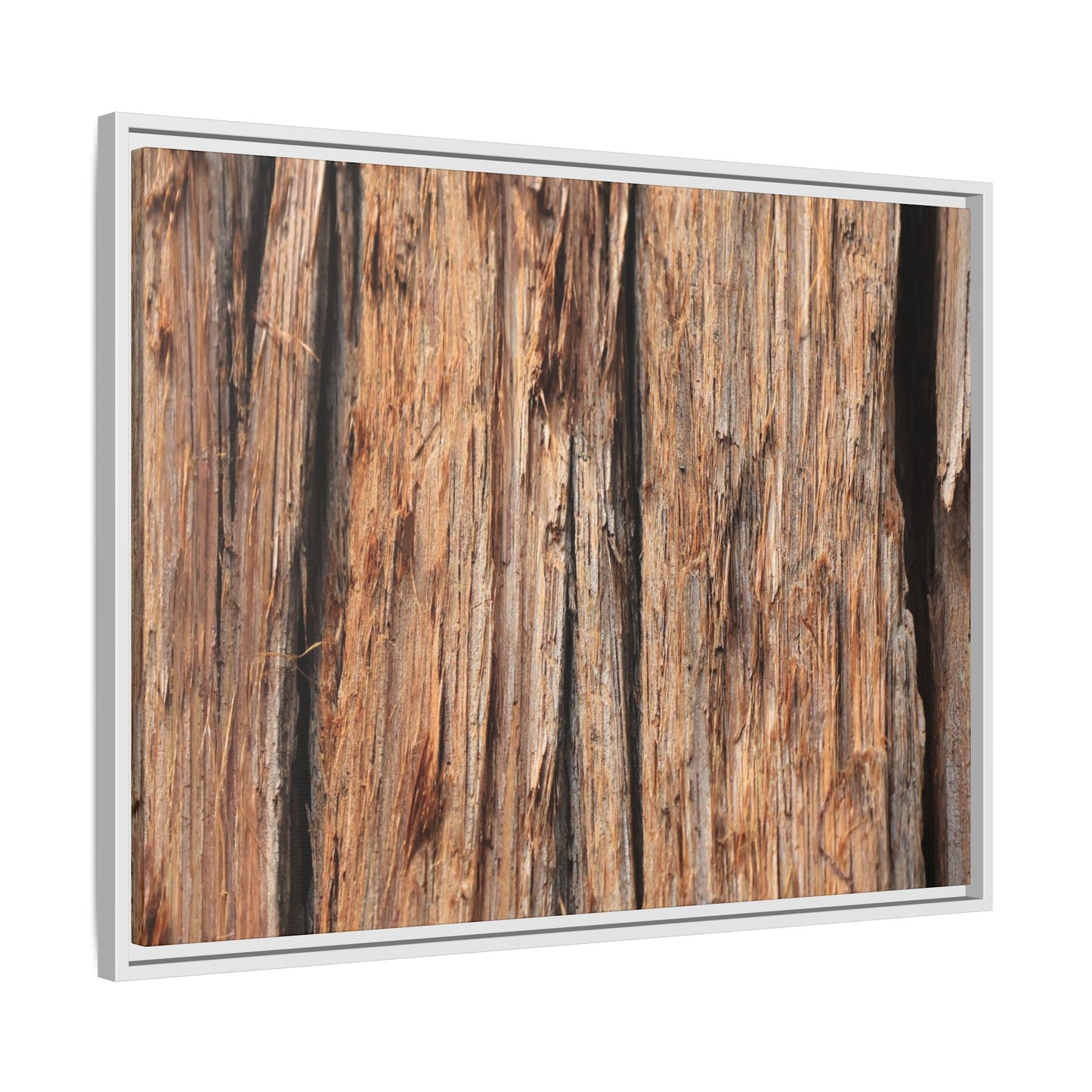 Timber Echoes - Unique Stretched Canvas Wall Art