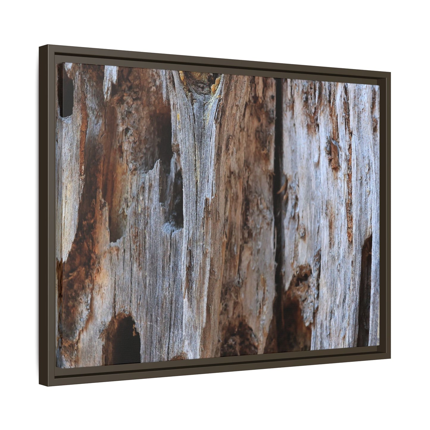 Decaying Splendor - Unique Stretched Canvas Wall Art
