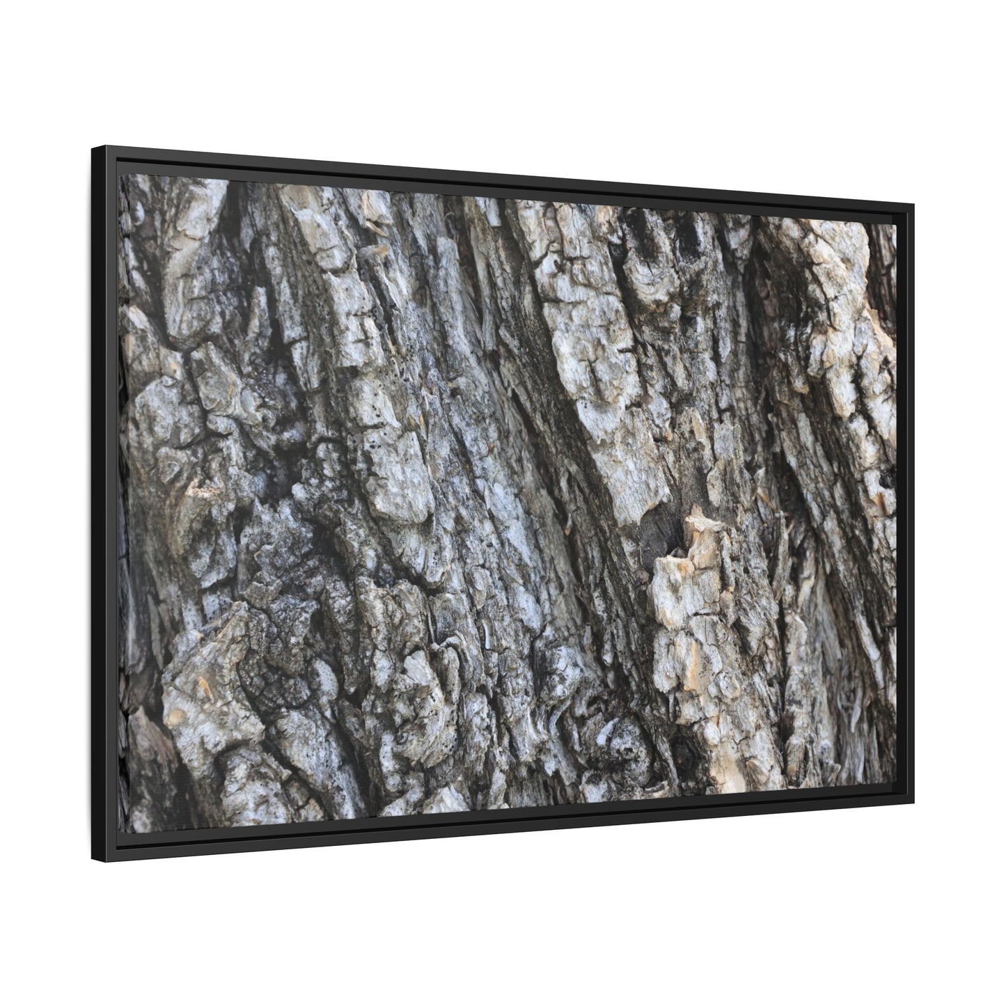 Twisted Textures - Unique Stretched Canvas Wall Art