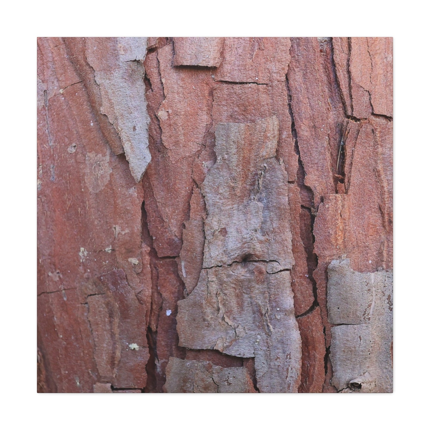 Fractal Rust - Unique Frameless Canvas Wall Art