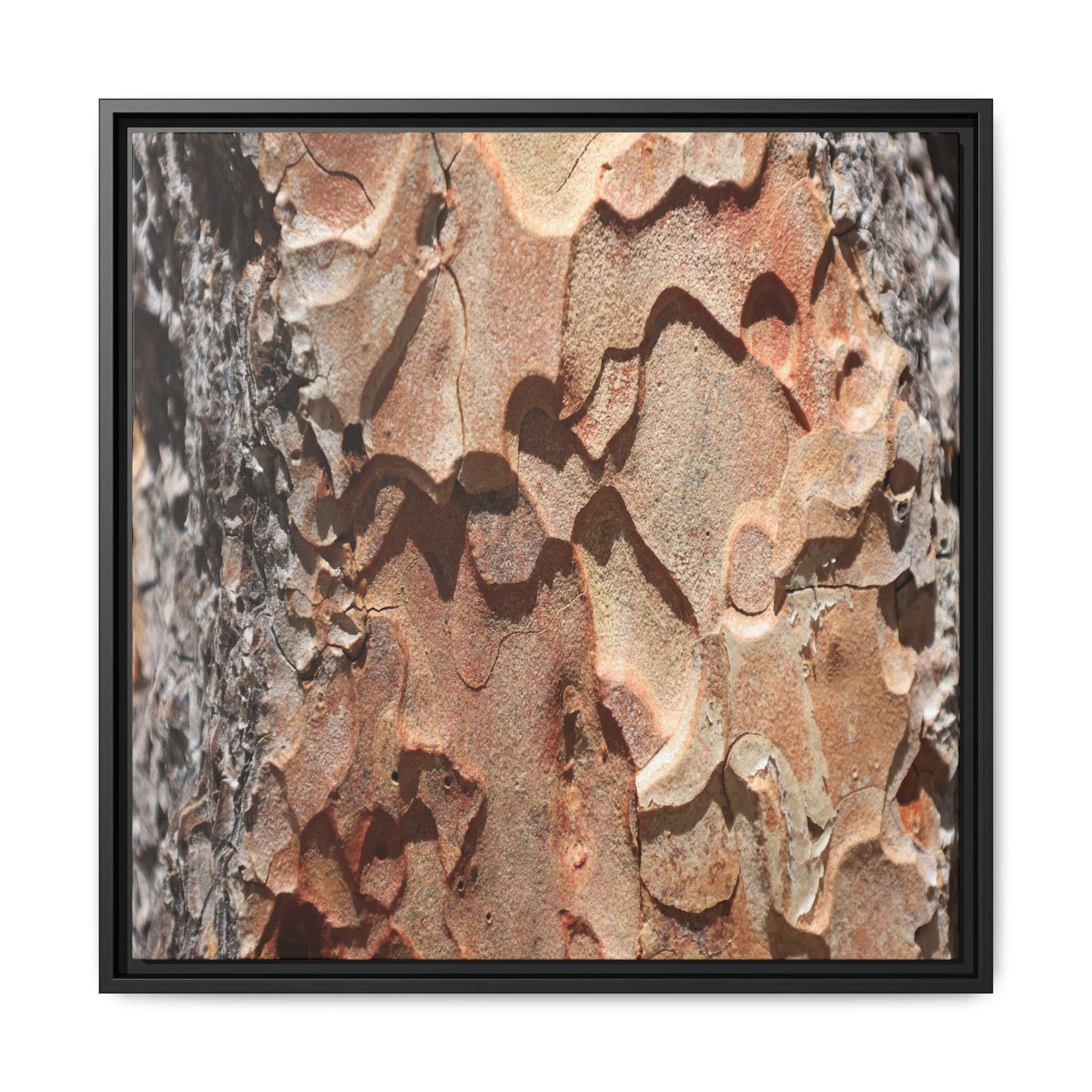 Rust and Stone - Unique Stretched Canvas Wall Art