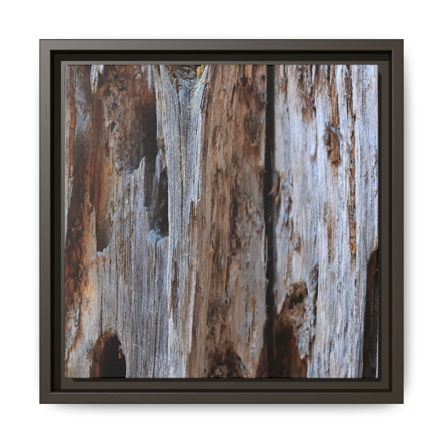 Decaying Splendor - Unique Stretched Canvas Wall Art