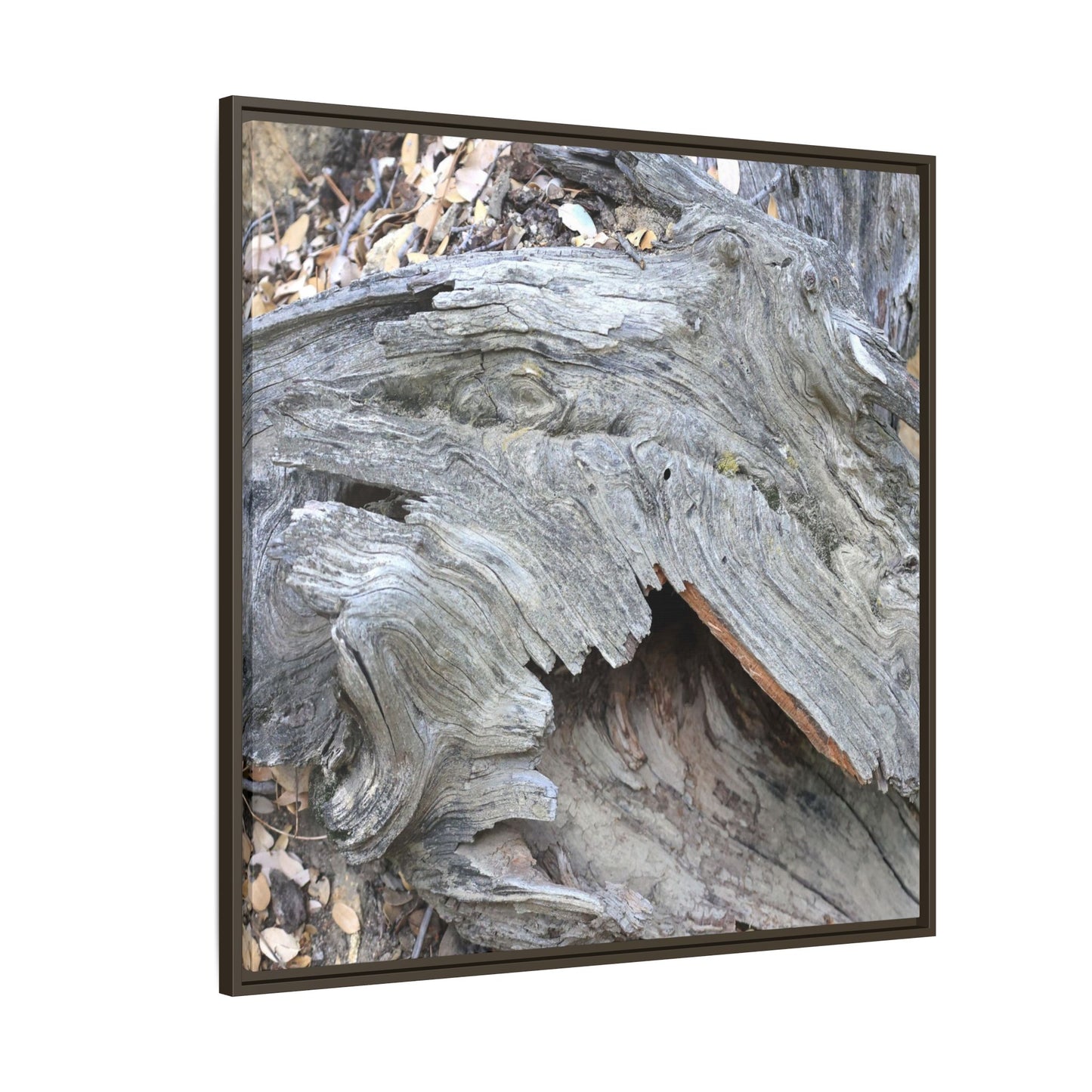 Driftwood Dreams - Unique Stretched Canvas Wall Art