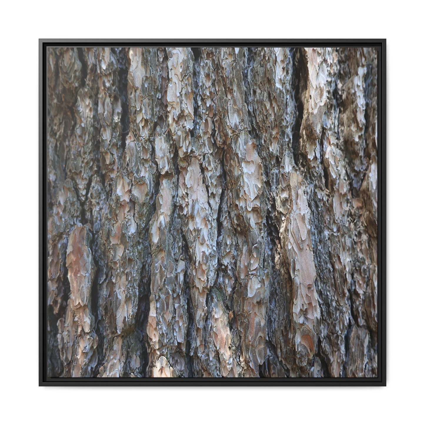 Bark Whispers - Unique Stretched Canvas Wall Art