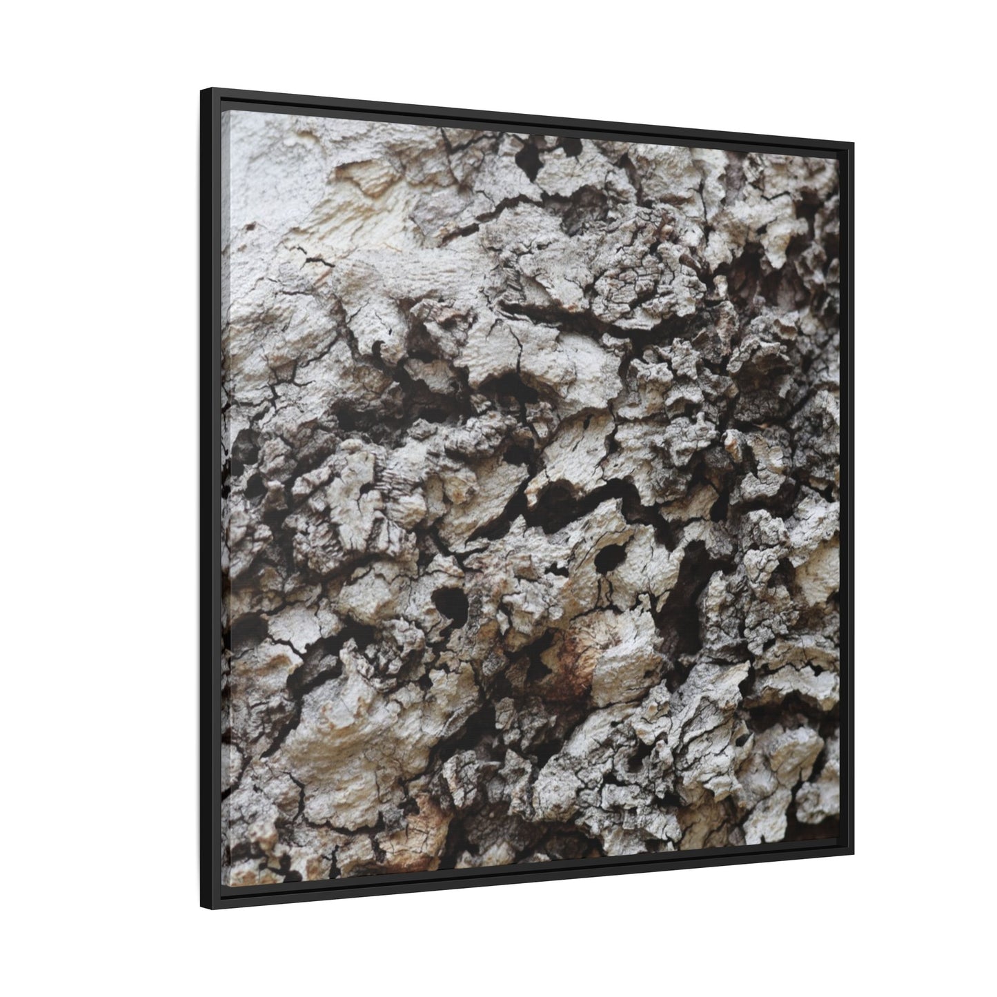 Cracked Terrain - Unique Stretched Canvas Wall Art