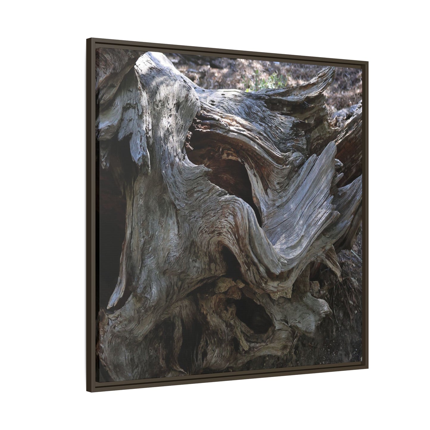 Twisted Memories - Unique Stretched Canvas Wall Art