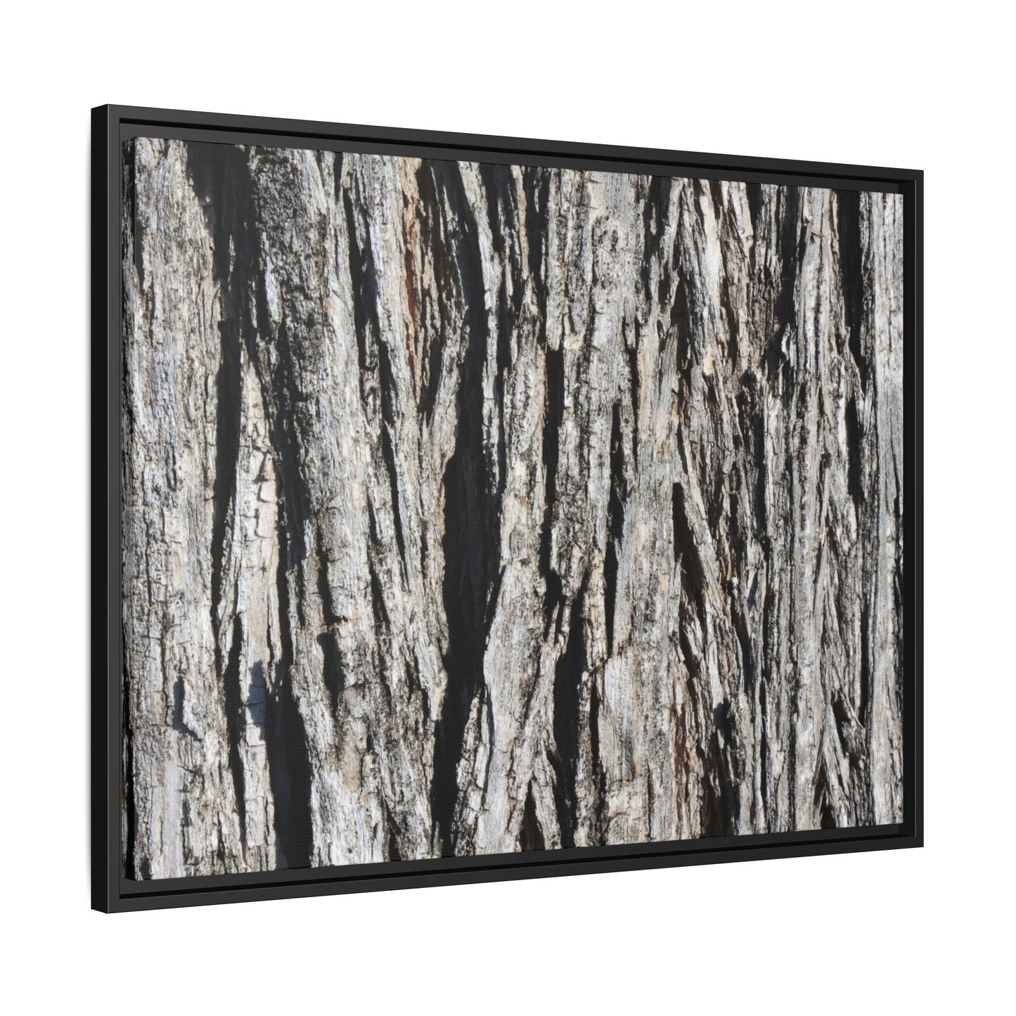 Bark Lines - Unique Stretched Canvas Wall Art