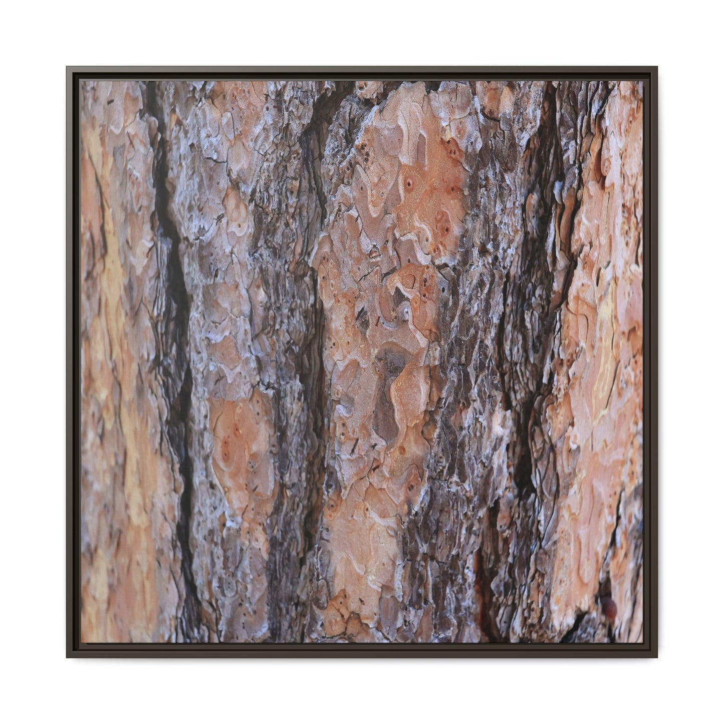 Earthy Embrace - Unique Stretched Canvas Wall Art