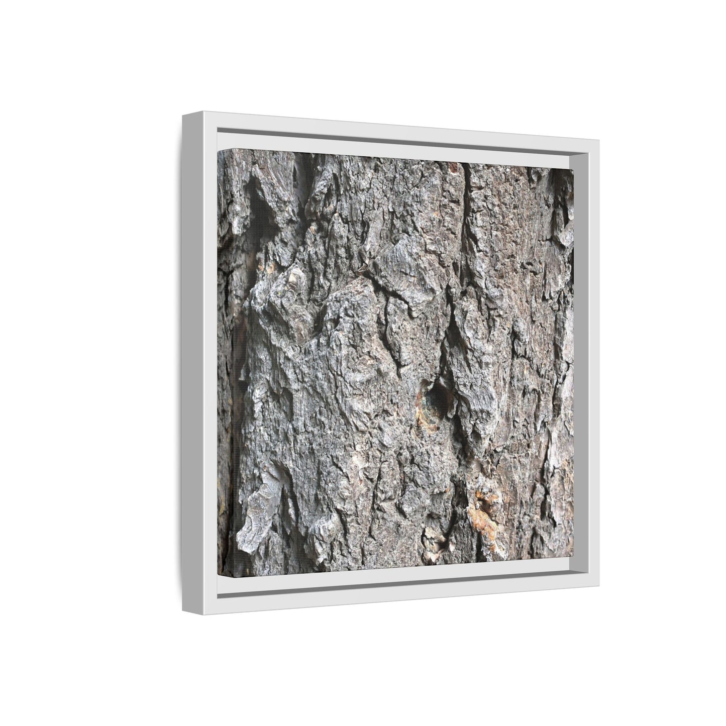 Crusty Exterior - Unique Stretched Canvas Wall Art