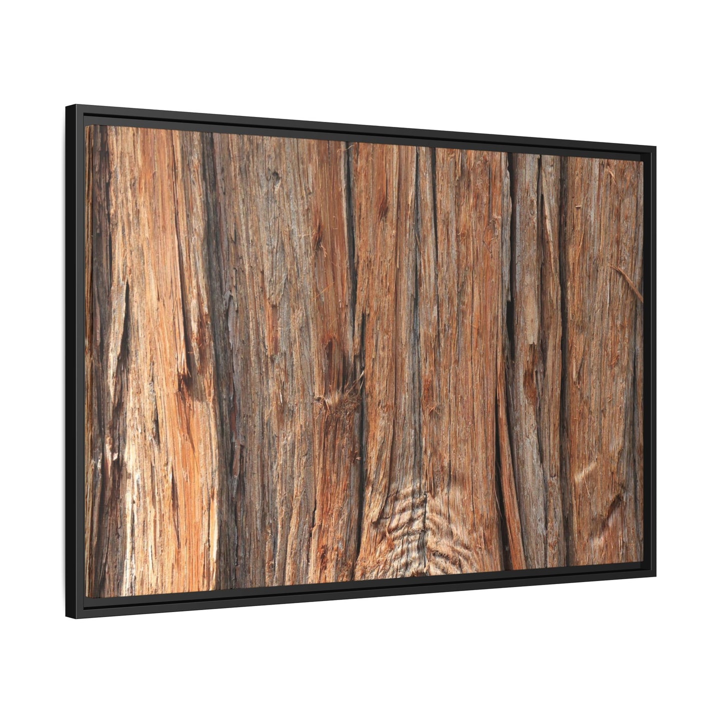 Echoes of Timber - Unique Stretched Canvas Wall Art