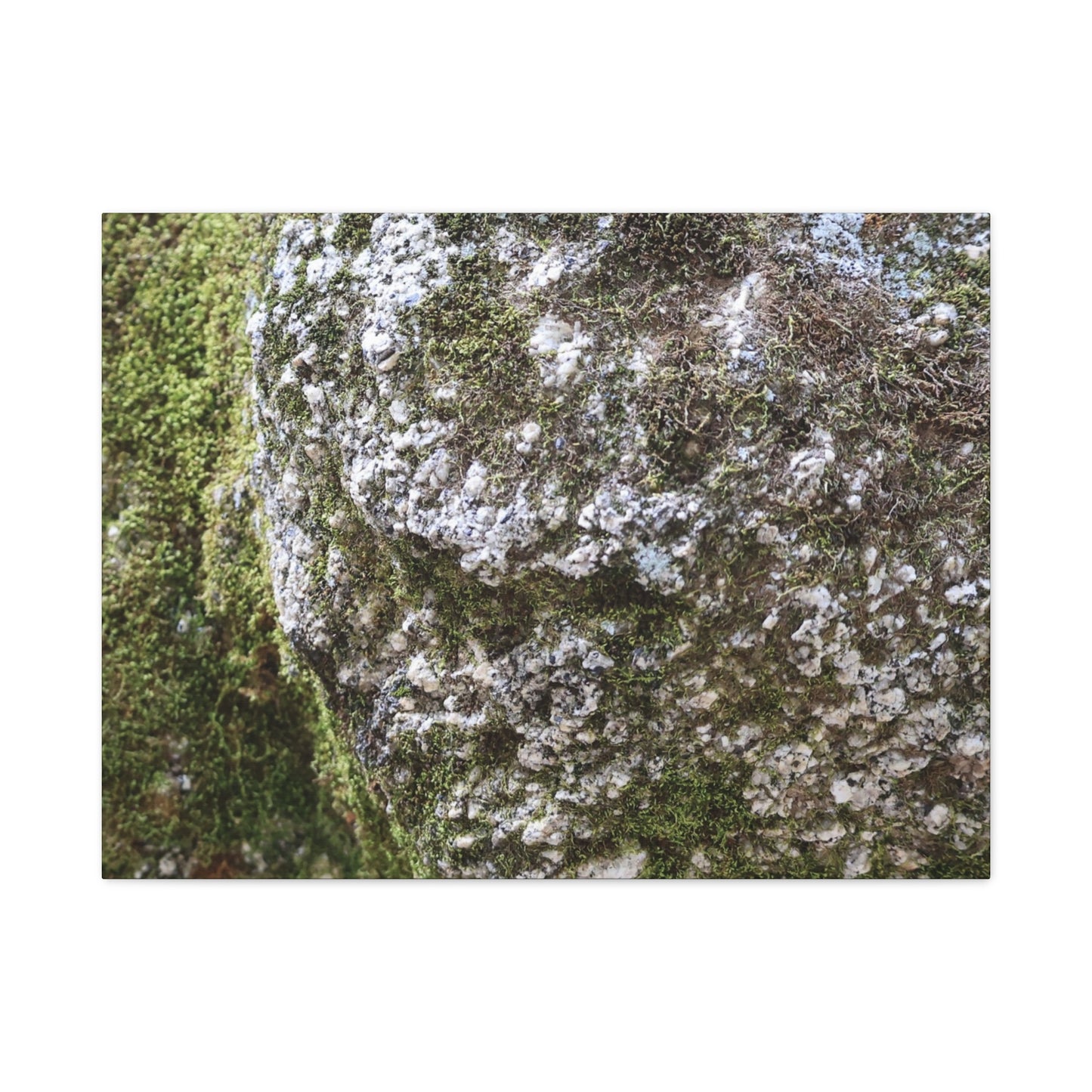 Moss and Stone Whispers - Unique Frameless Canvas Wall Art