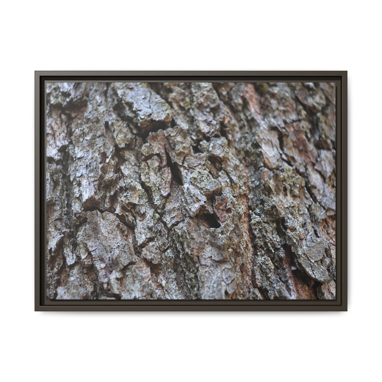 Woodland Canvas - Unique Stretched Canvas Wall Art