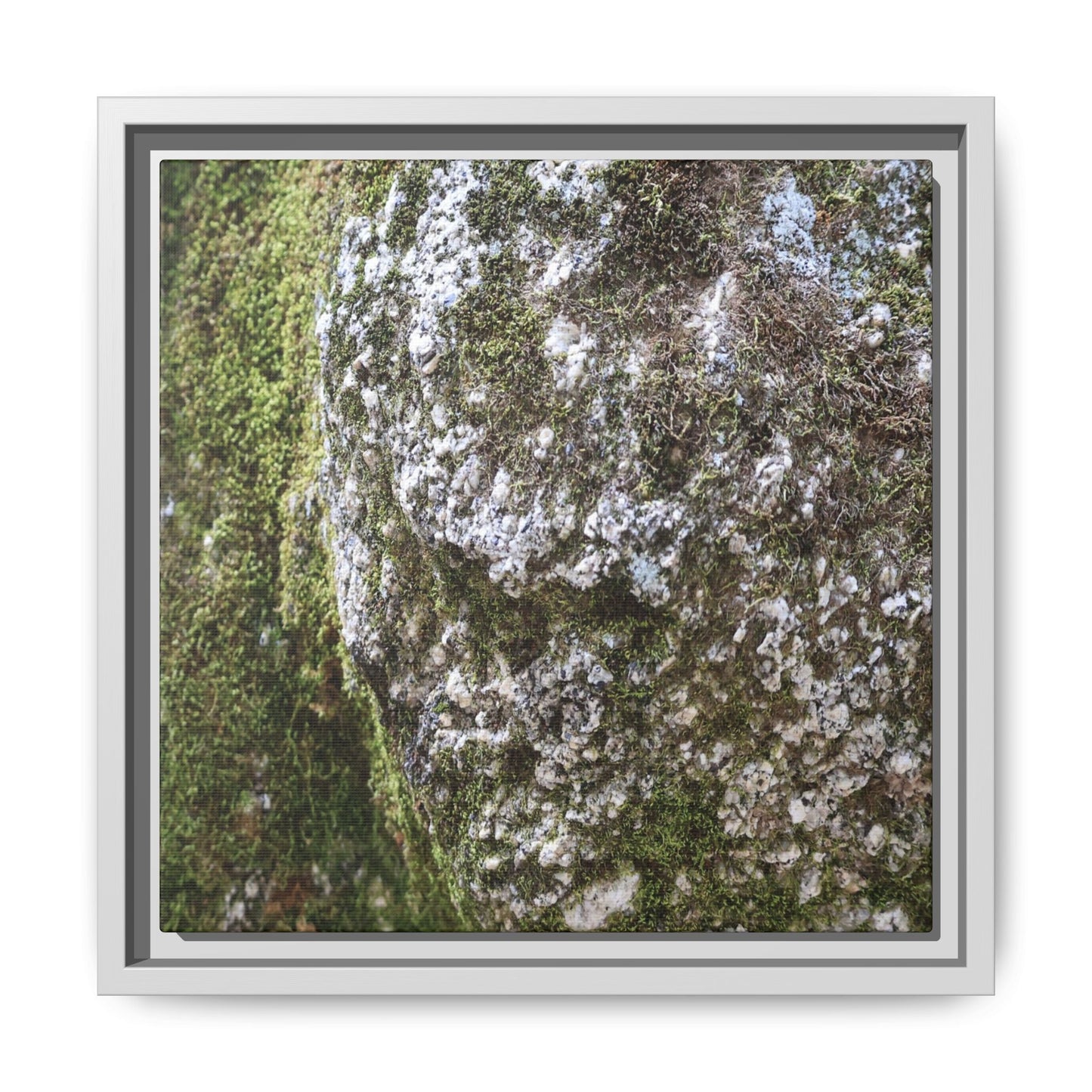 Lichen Landscape - Unique Stretched Canvas Wall Art