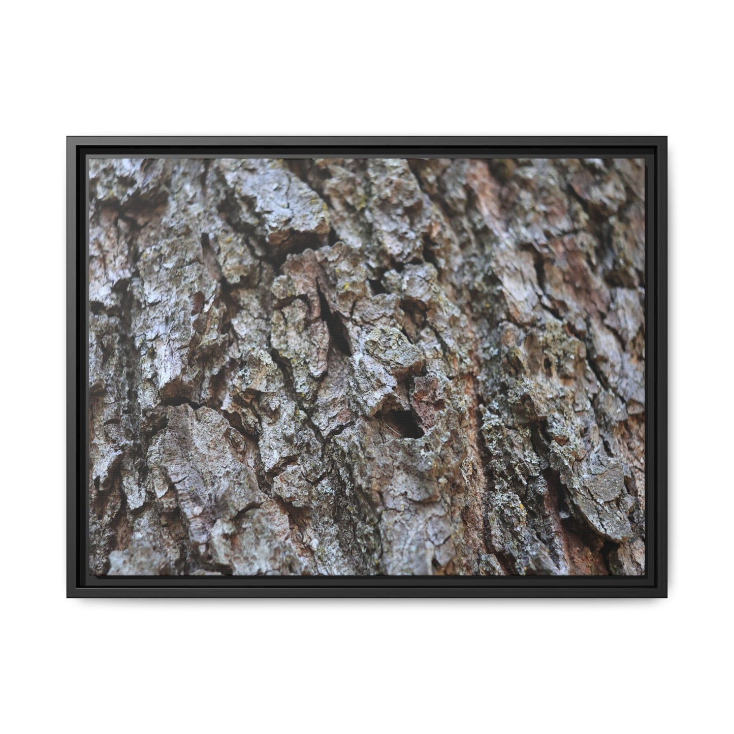 Woodland Canvas - Unique Stretched Canvas Wall Art