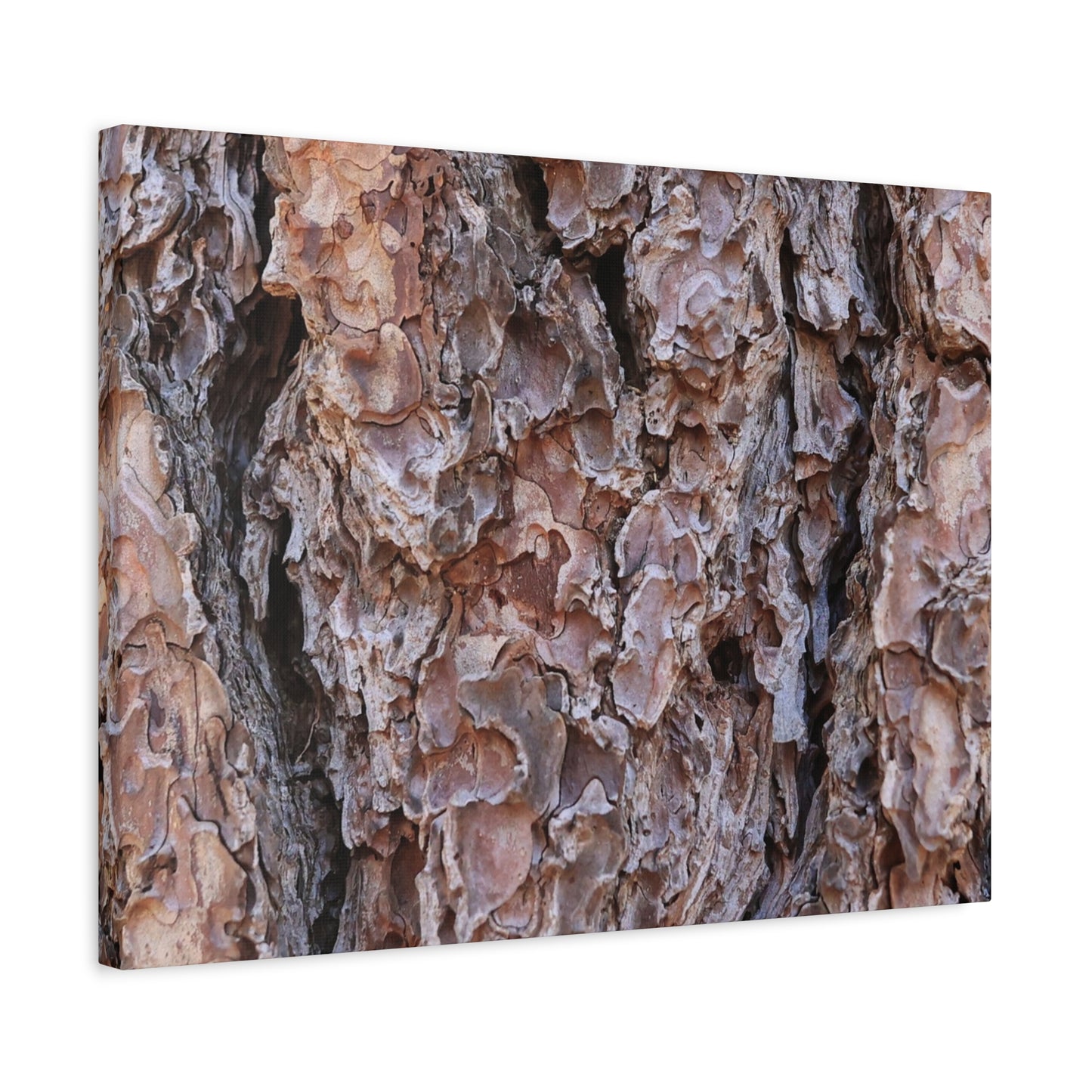 Rough Canvas - Unique Frameless Canvas Wall Art