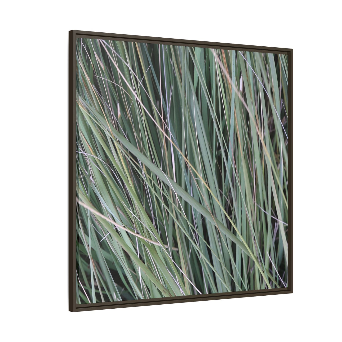 Grassland Symphony - Unique Stretched Canvas Wall Art