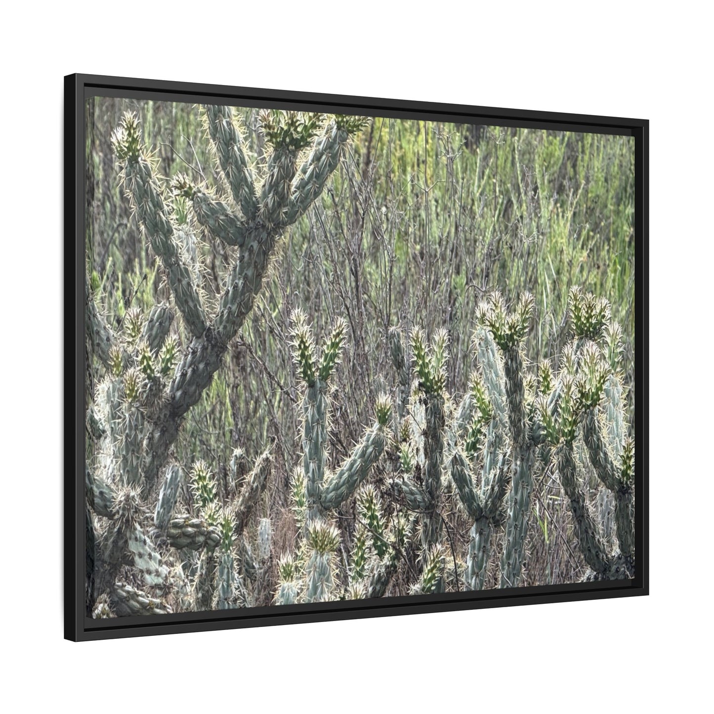 Prickly Paradise - Unique Stretched Canvas Wall Art