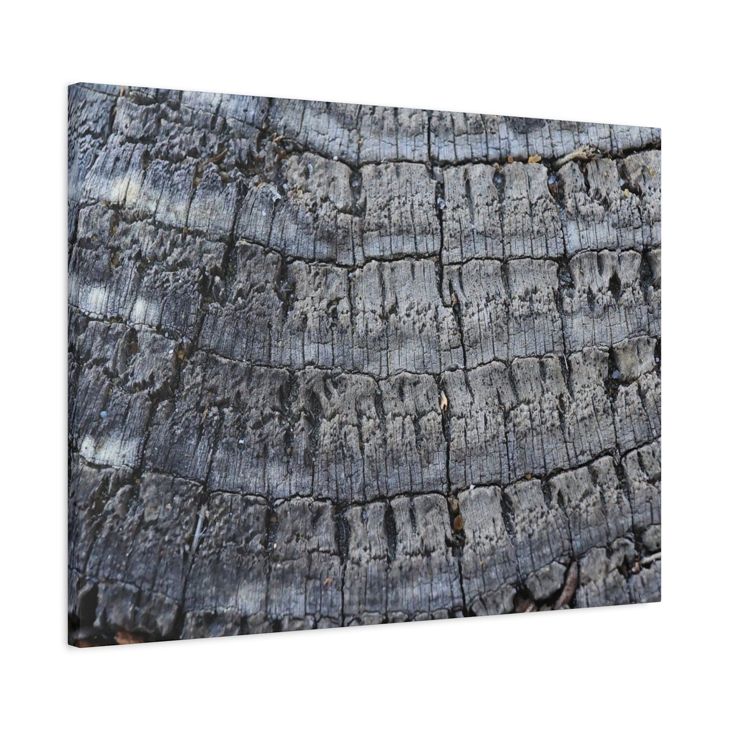 Whispers of Age - Unique Frameless Canvas Wall Art