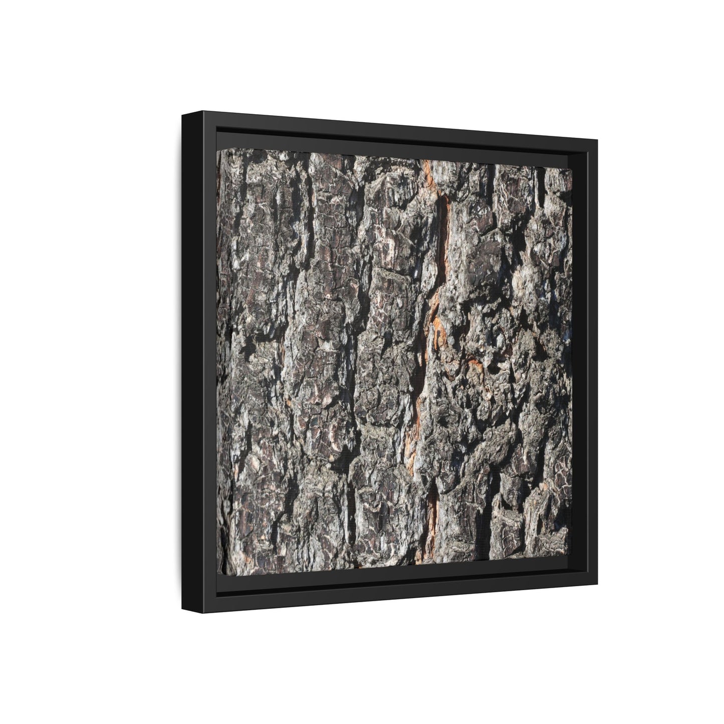 Aged Beauty - Unique Stretched Canvas Wall Art