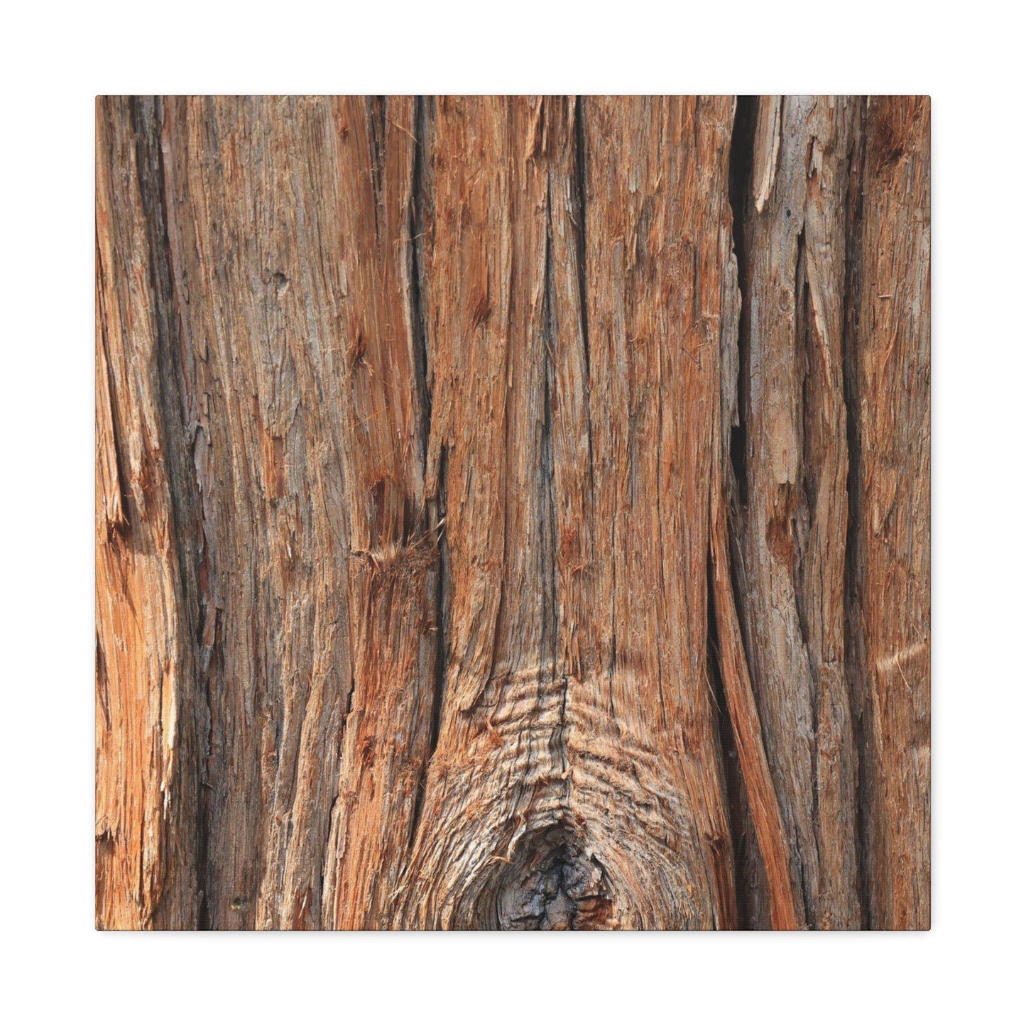 Bark's Ancient Whispers - Unique Frameless Canvas Wall Art