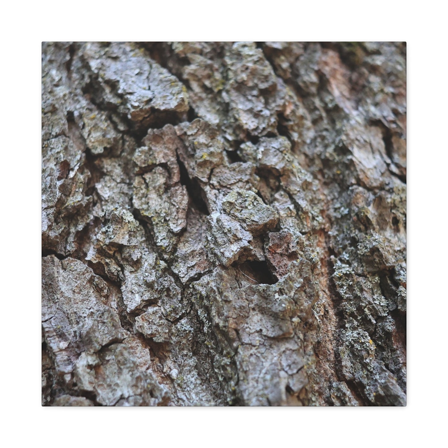 Cracked Echoes - Unique Frameless Canvas Wall Art