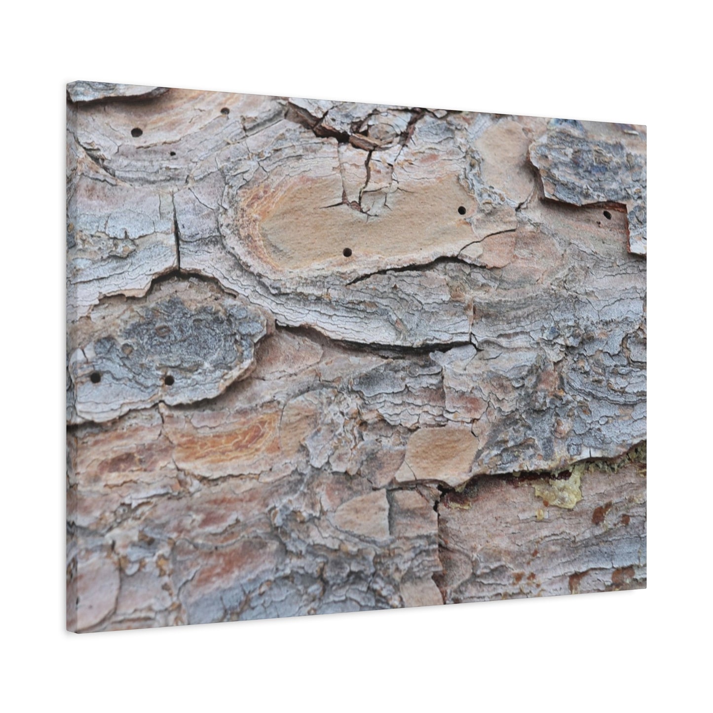 Textural Geology - Unique Frameless Canvas Wall Art