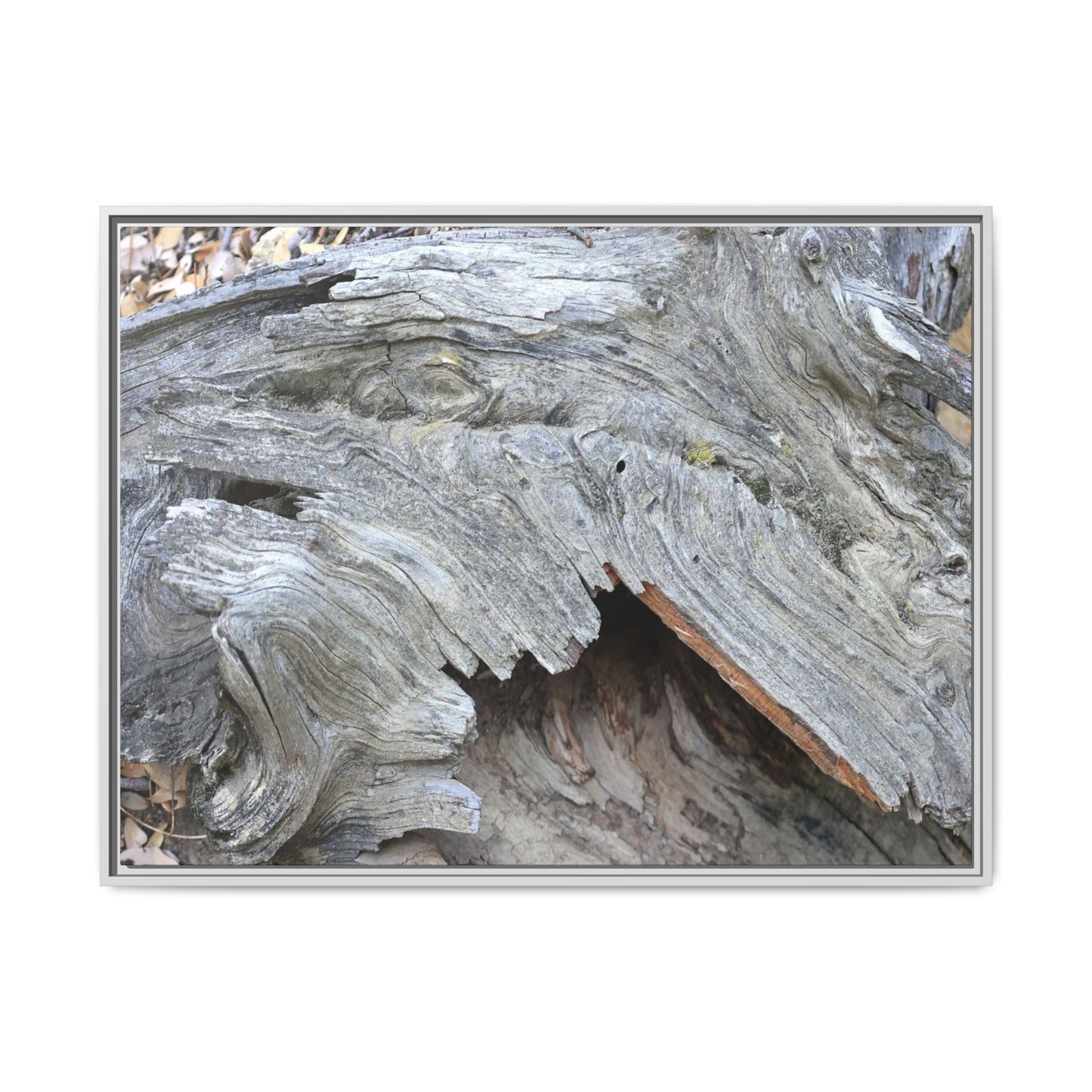 Driftwood Dreams - Unique Stretched Canvas Wall Art