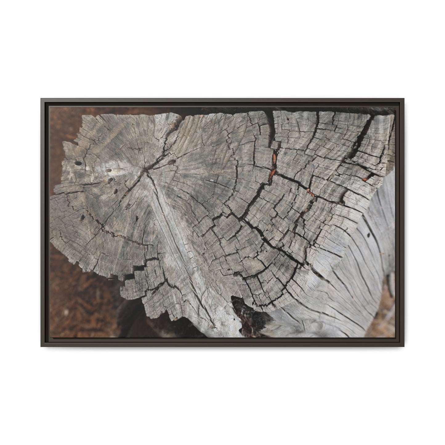 Time's Signature - Unique Stretched Canvas Wall Art