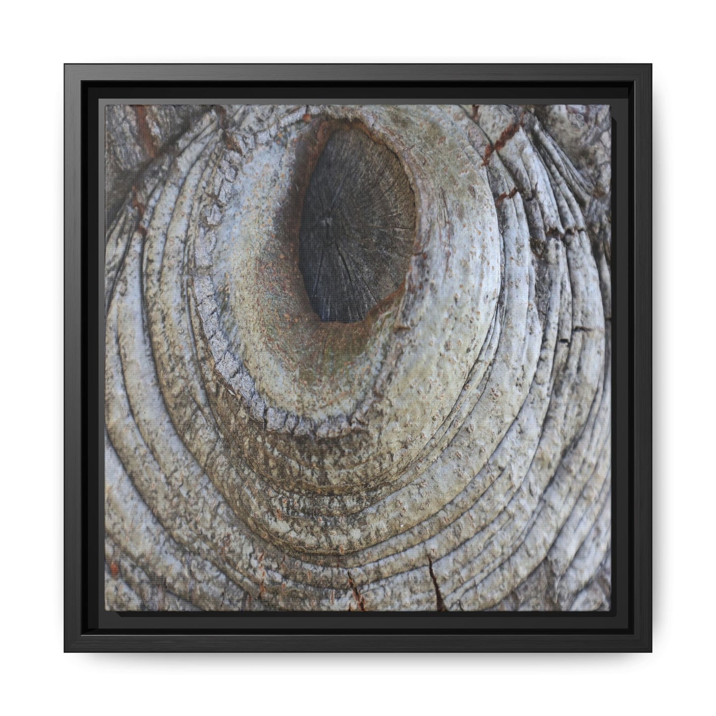 Echoes of Time - Unique Stretched Canvas Wall Art