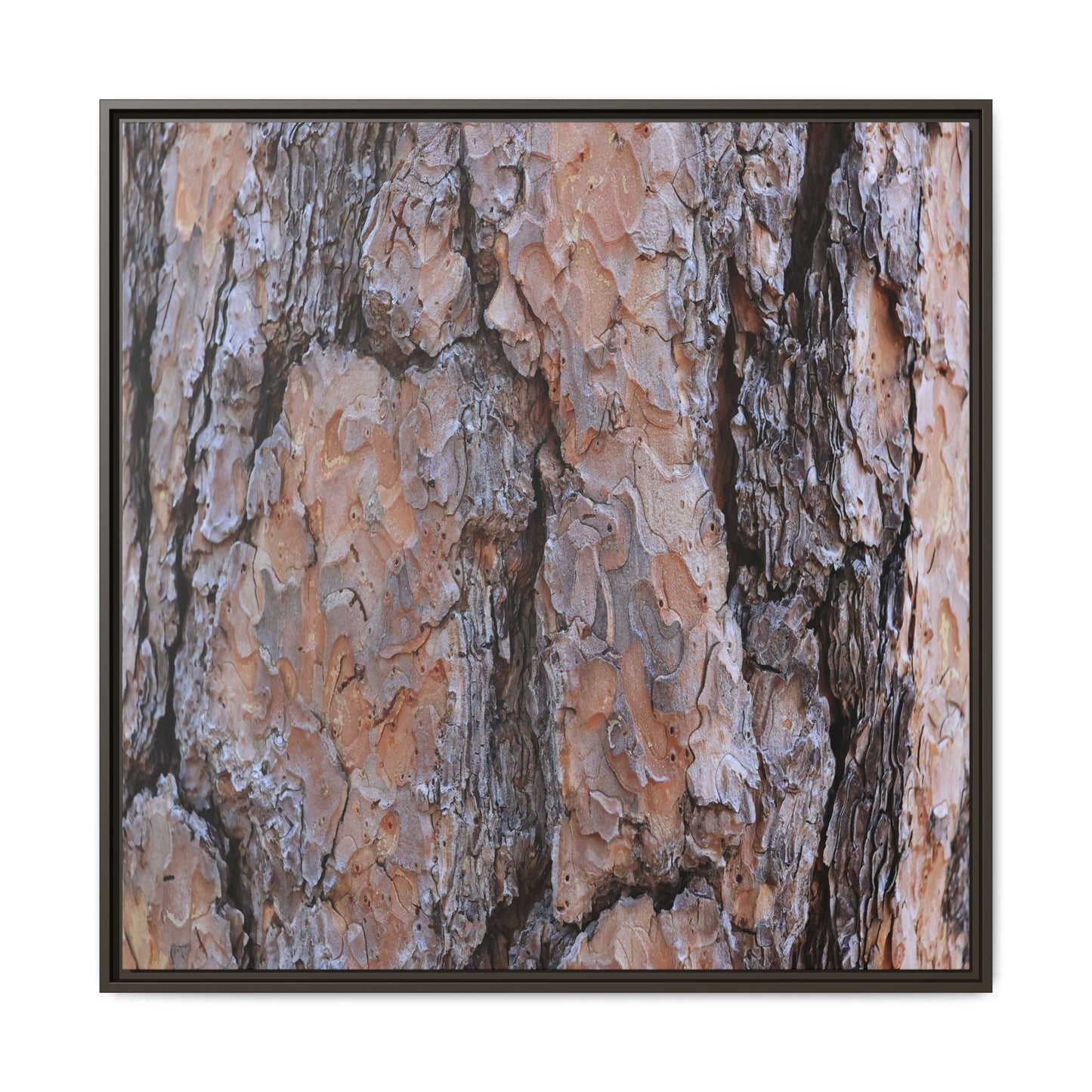 Tree Skin Symphony - Unique Stretched Canvas Wall Art
