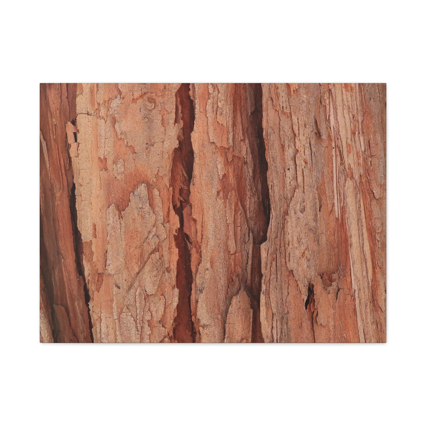 Bark Layers of Time - Unique Frameless Canvas Wall Art
