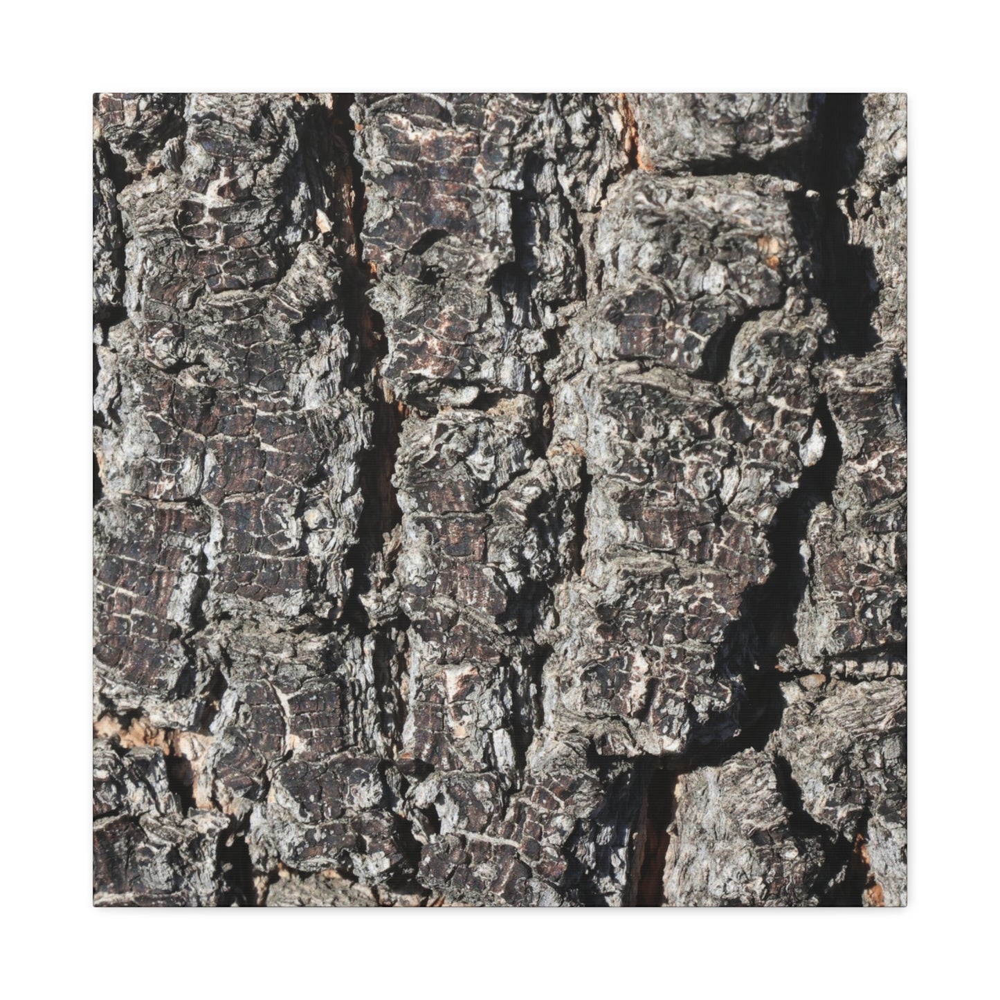 Cracked Skin of Earth - Unique Frameless Canvas Wall Art