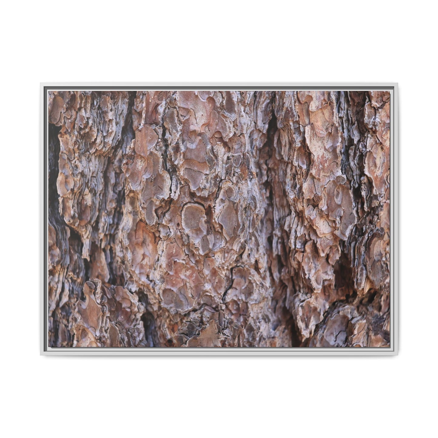 Woody Layers - Unique Stretched Canvas Wall Art