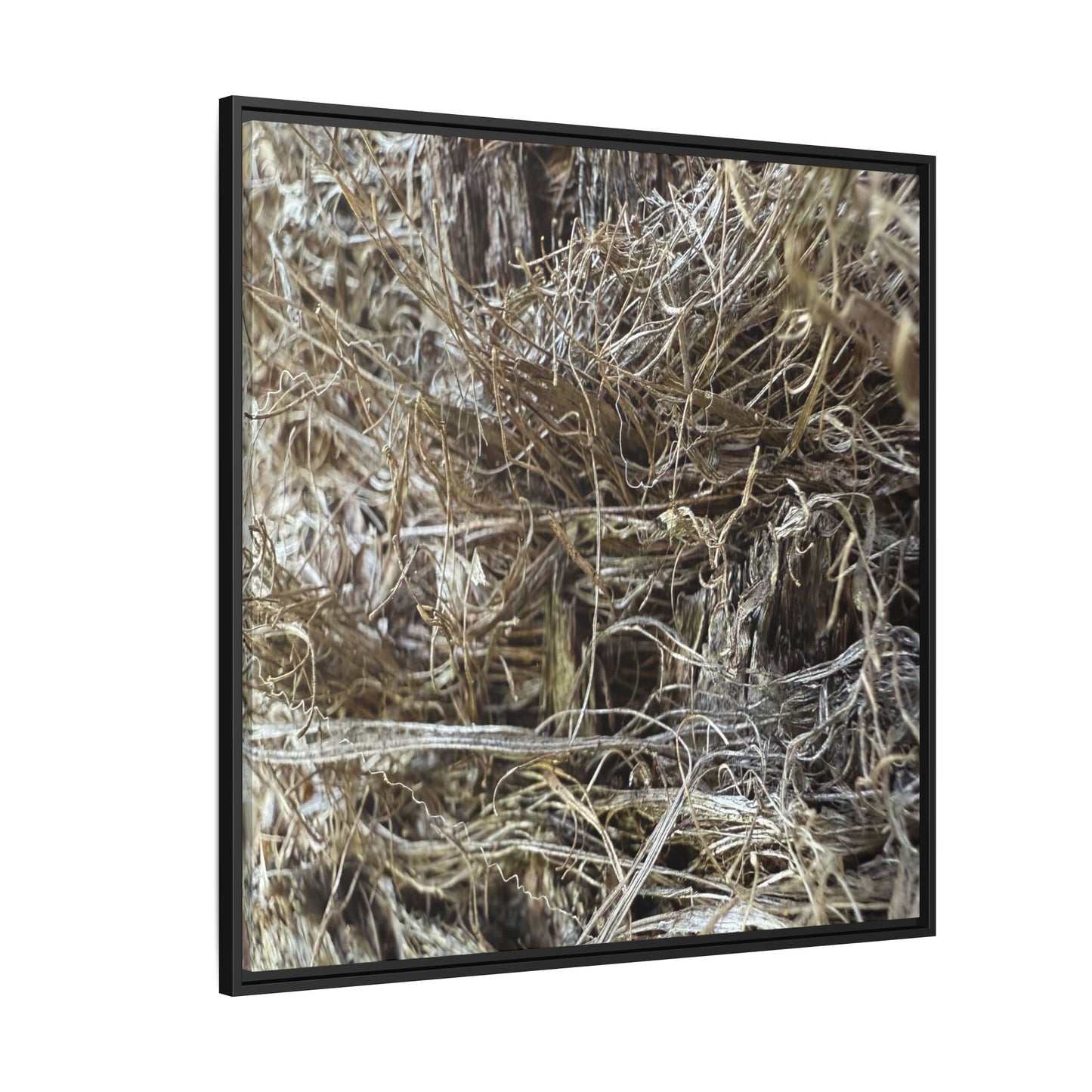Tangled Whispers of Autumn - Unique Stretched Canvas Wall Art