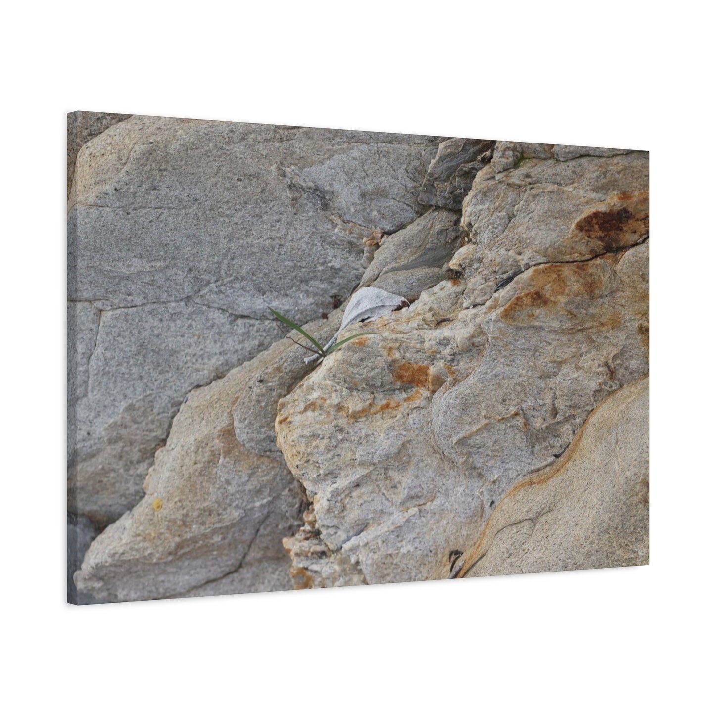Fractal Earth - Unique Frameless Canvas Wall Art
