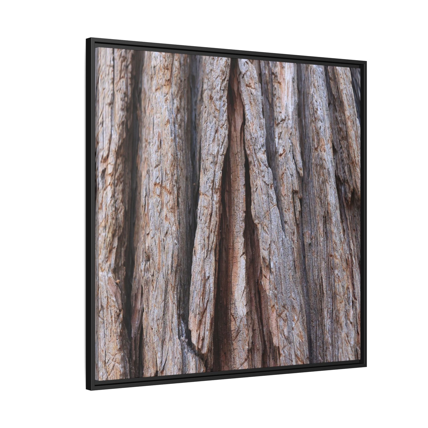Nature's Sculpture - Unique Stretched Canvas Wall Art