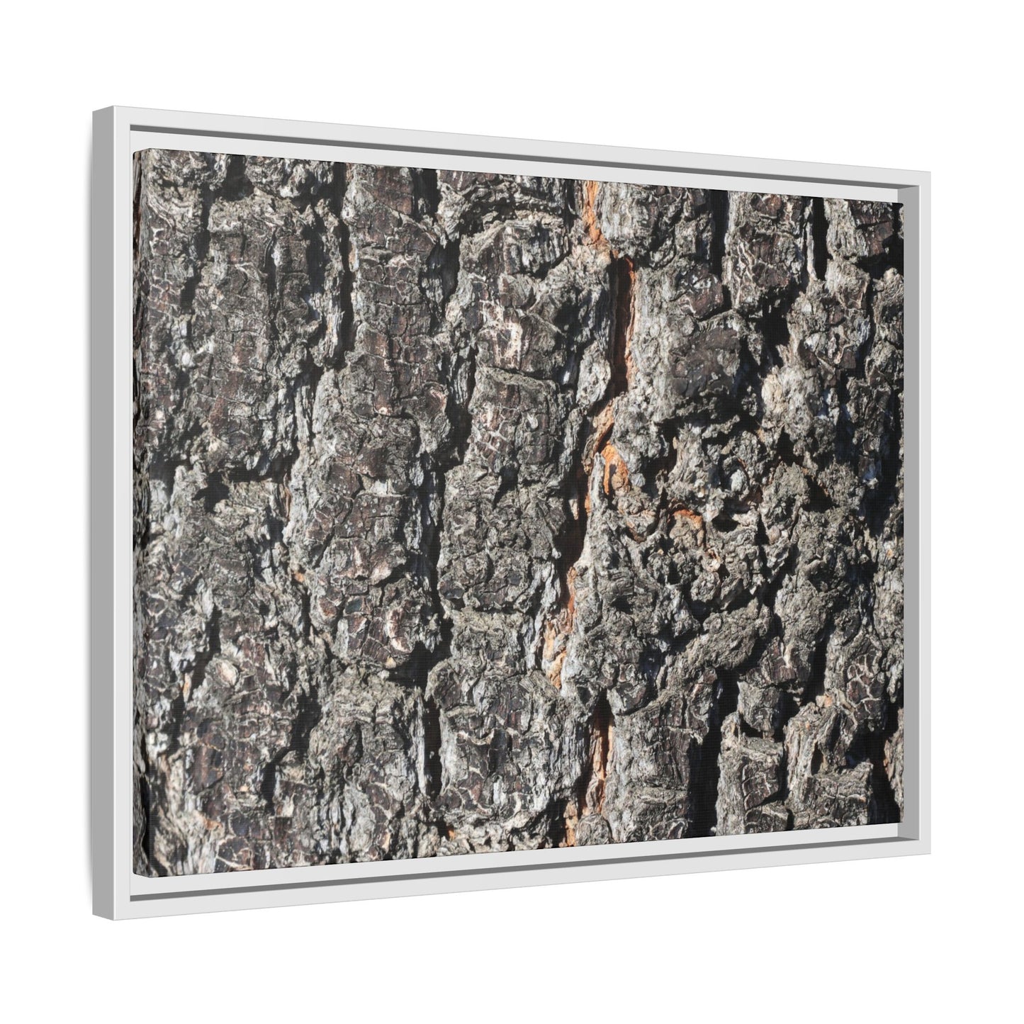 Aged Beauty - Unique Stretched Canvas Wall Art