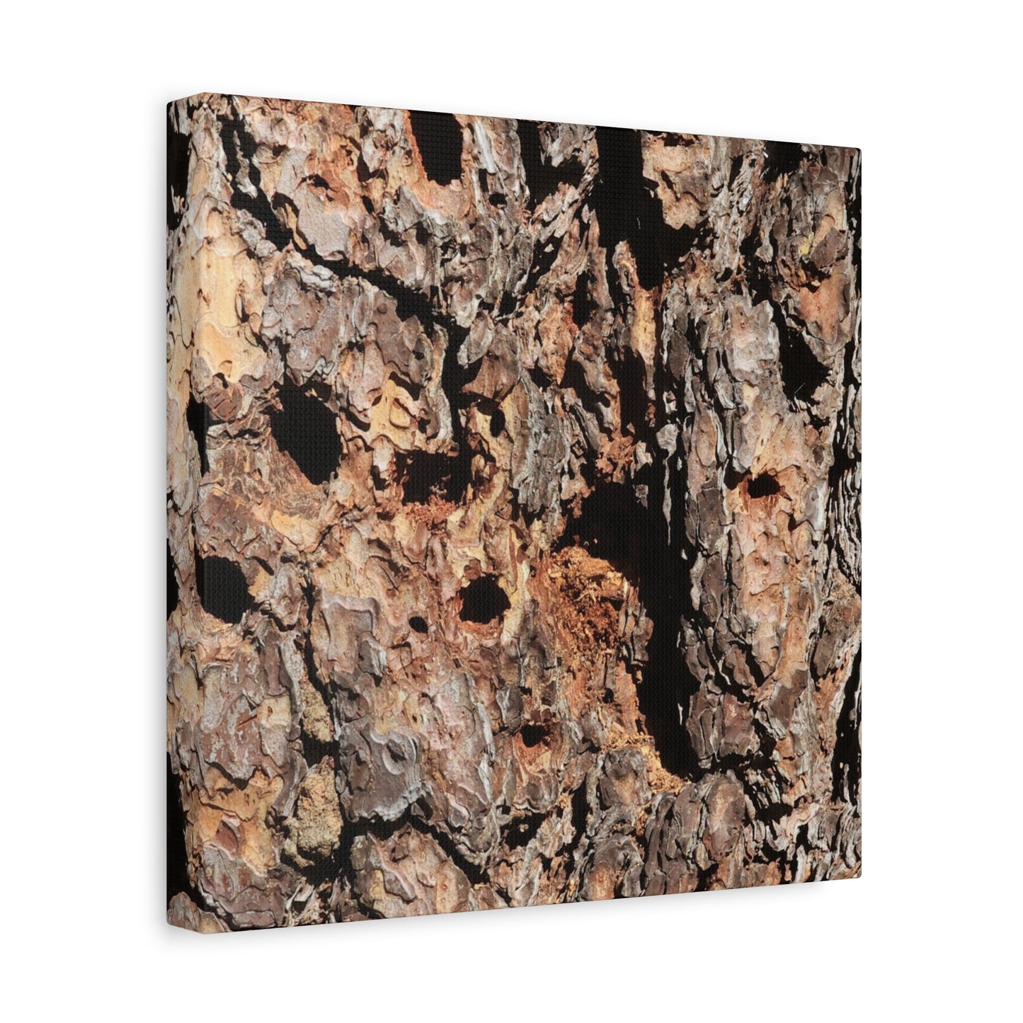 Tree Bark Mosaic - Unique Frameless Canvas Wall Art
