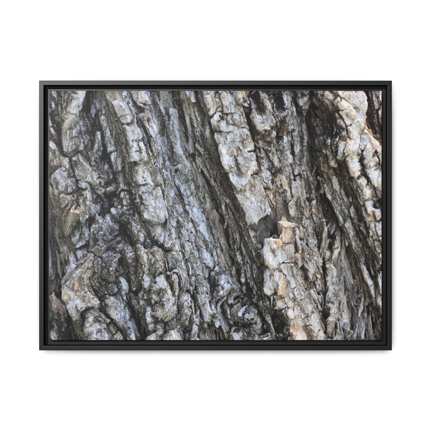 Twisted Textures - Unique Stretched Canvas Wall Art