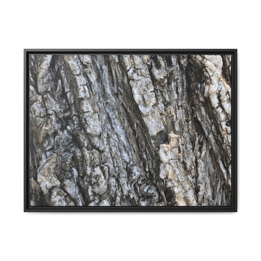 Twisted Textures - Unique Stretched Canvas Wall Art - Art By Earth