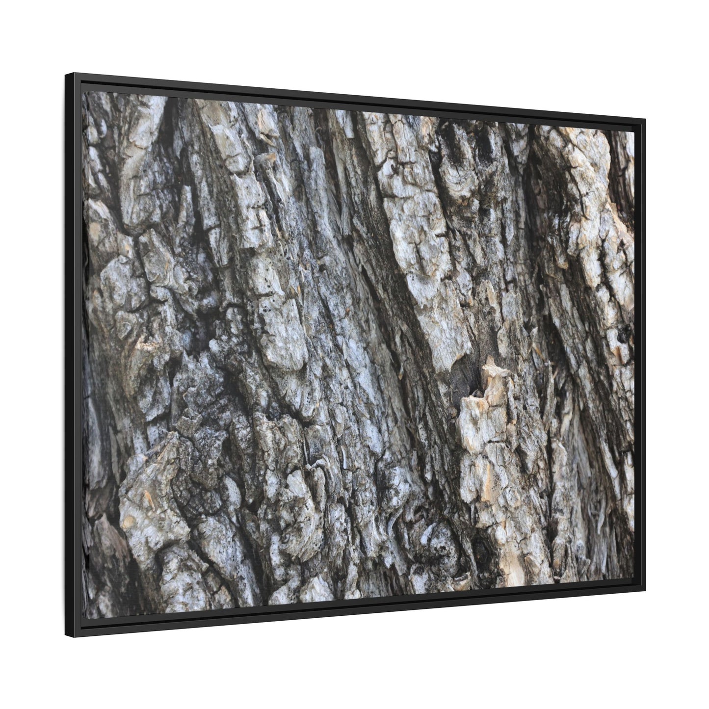 Twisted Textures - Unique Stretched Canvas Wall Art