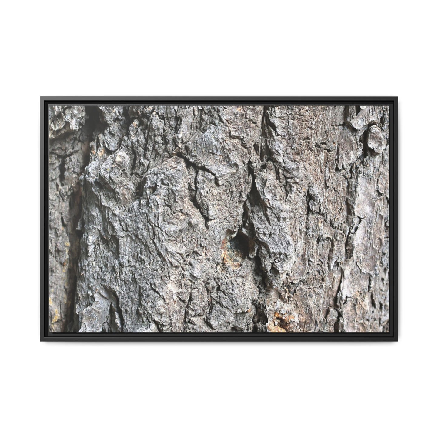 Crusty Exterior - Unique Stretched Canvas Wall Art